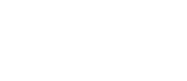 Wilsonn Works white logo.
